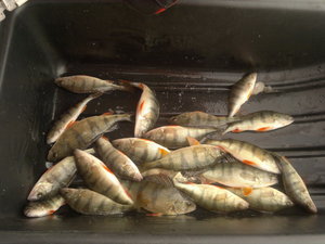 11022012725.jpg