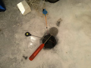 11022012726.jpg