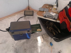 11022012727.jpg