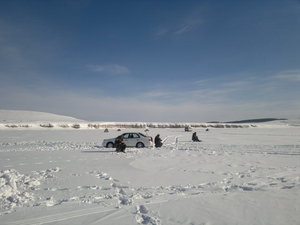 11022012729.jpg