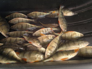 11022012732.jpg