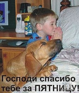 спасибо.jpg