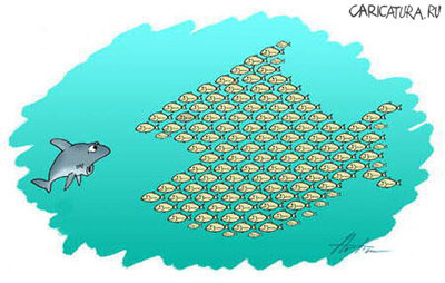 club-fish.ru_300.jpg