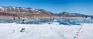 IMG_1142.jpg