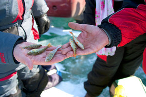IMG_1171.jpg
