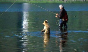 image_thumb86_thumb.jpg