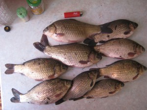 IMG_0651.JPG