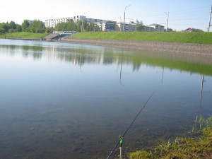 IMG_0647.JPG
