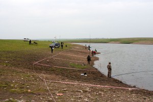 IMG_2367.jpg