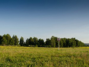 DSC_1560-2.jpg