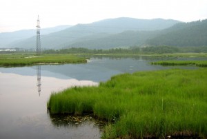 Мангутай 2012 056.jpg