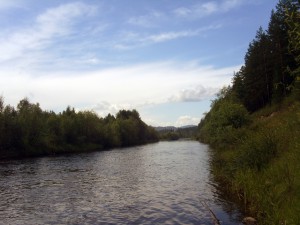PIC_1533.JPG