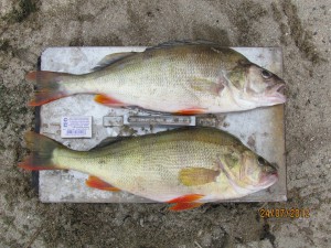 IMG_0159.jpg