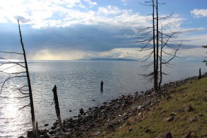 IMG_0711.JPG