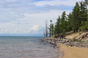 IMG_0518.JPG