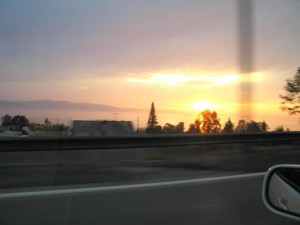 IMG_1088.jpg