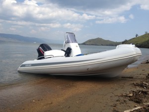 IMG_0839.jpg