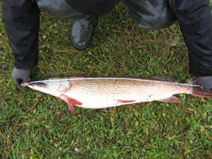 IMG_6435.JPG