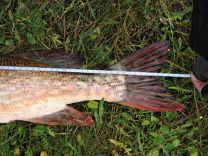 IMG_6436.JPG