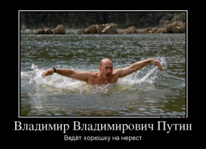 96903442_vladimir-vladimirovich-putin.jpg