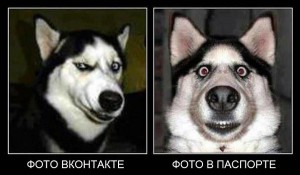 Фото В КОНТАКТЕ и в паспорте..jpg