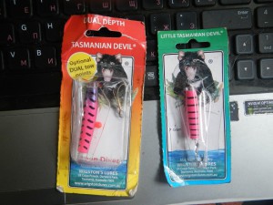 DSCN0069.JPG