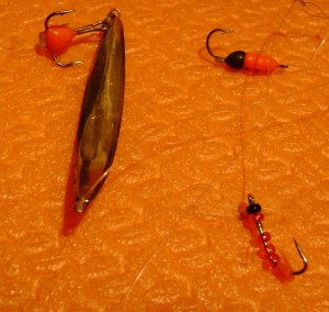 DSC06890.JPG