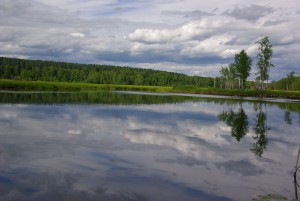 IMGP54142_новый размер.JPG