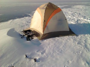 IMG_20121209_150924.jpg