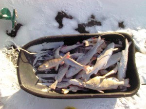 IMG_20121209_151800.jpg