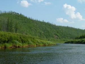 P1090330.JPG