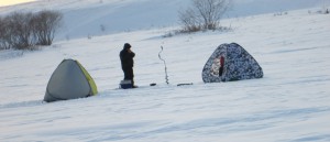 Мормышечники.JPG