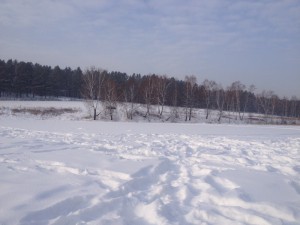IMG_1003.JPG
