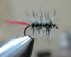 IMG_0683.jpg