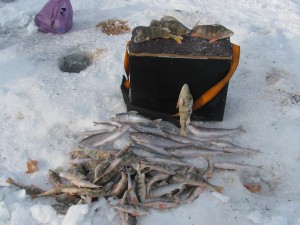 IMG_4952.JPG