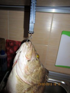 03.jpg