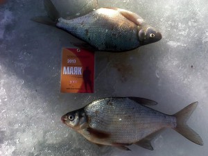 IMG00025.jpg