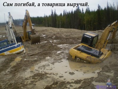 photo.jpeg