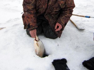 02.jpg