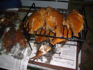 IMG_5852.JPG
