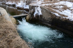 DSC_0486.JPG