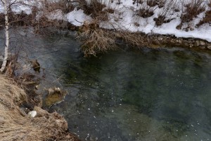 DSC_0452.JPG