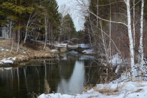 DSC_0521.JPG