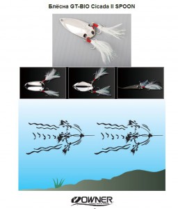 cicada2.jpg
