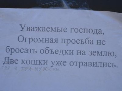 f_17461326.jpg