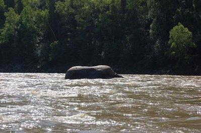 DSC_1248.JPG
