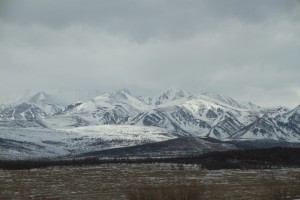 IMG_5073.JPG