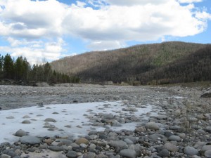 IMG_2106.JPG
