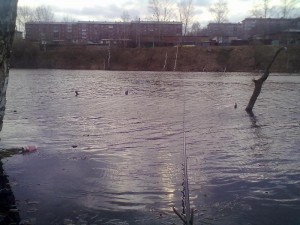 02052013411.jpg