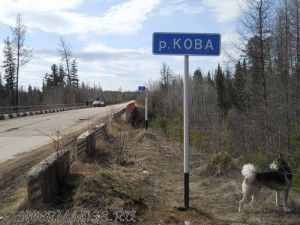 Kova_25.jpg